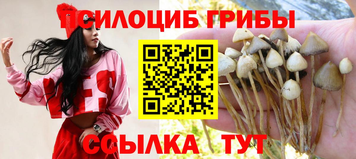 Галлюциногенные грибы мицелий Ржев